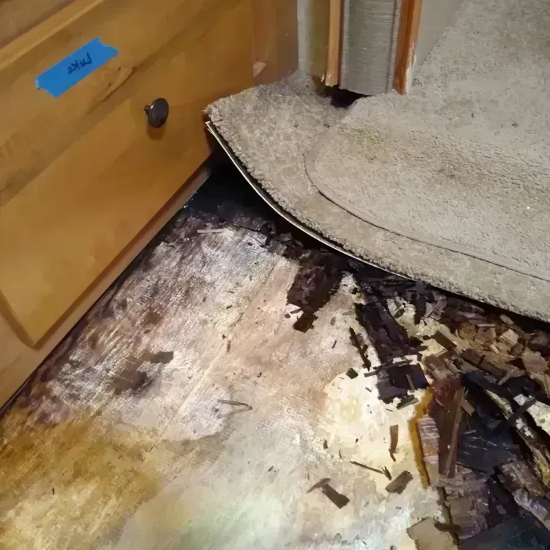 Wood Floor Water Damage in Adams Morgan, DC